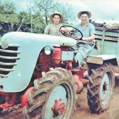 O agricultor Arlindo Dani, com Marcos, em 1958, conduzindo o trator Urus na propriedade da família, no distrito de Otávio Rocha. O veículo, fabricado em 1952 na Alemanha, é utilizado até hoje por Arlindo no desfile de tratores da Festa da Colônia. (ARQUIVO DE ARLINDO DANI/FOTOS ANTIGAS FLORES DA CUNHA/DIVULGAÇÃO)