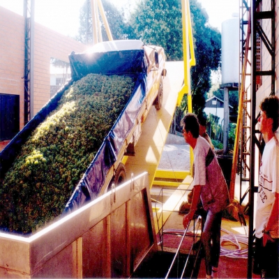Em 2000 a Cooperativa Vinícola São Pedro instalou um sistema basculante de descarga de uvas.
