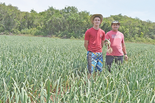 Jorge Reginato, com o filho Julio, cultiva alho há 14 anos e há cinco implantou um sistema de irrigação por gotejamento. - Danúbia Otobelli/O Florense