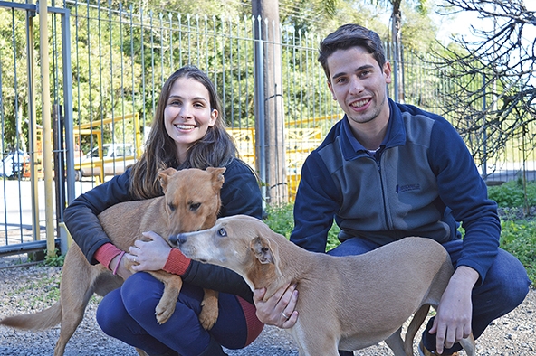 Os irmãos Luana e Sander, da Mascarello Estofados, adoram as cachorrinhas Luna e Laika para viverem na empresa da família. - Camila Baggio