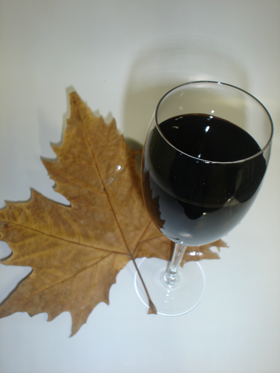 Programação une gastronomia ao vinho e baixas temperaturas. - Divulgação
