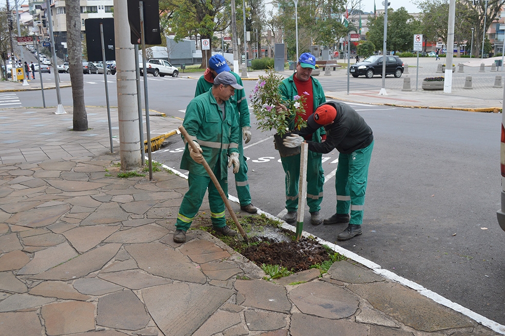 Árvores foram plantadas nas praças e passeios públicos. - Prefeitura FC/Divulgação