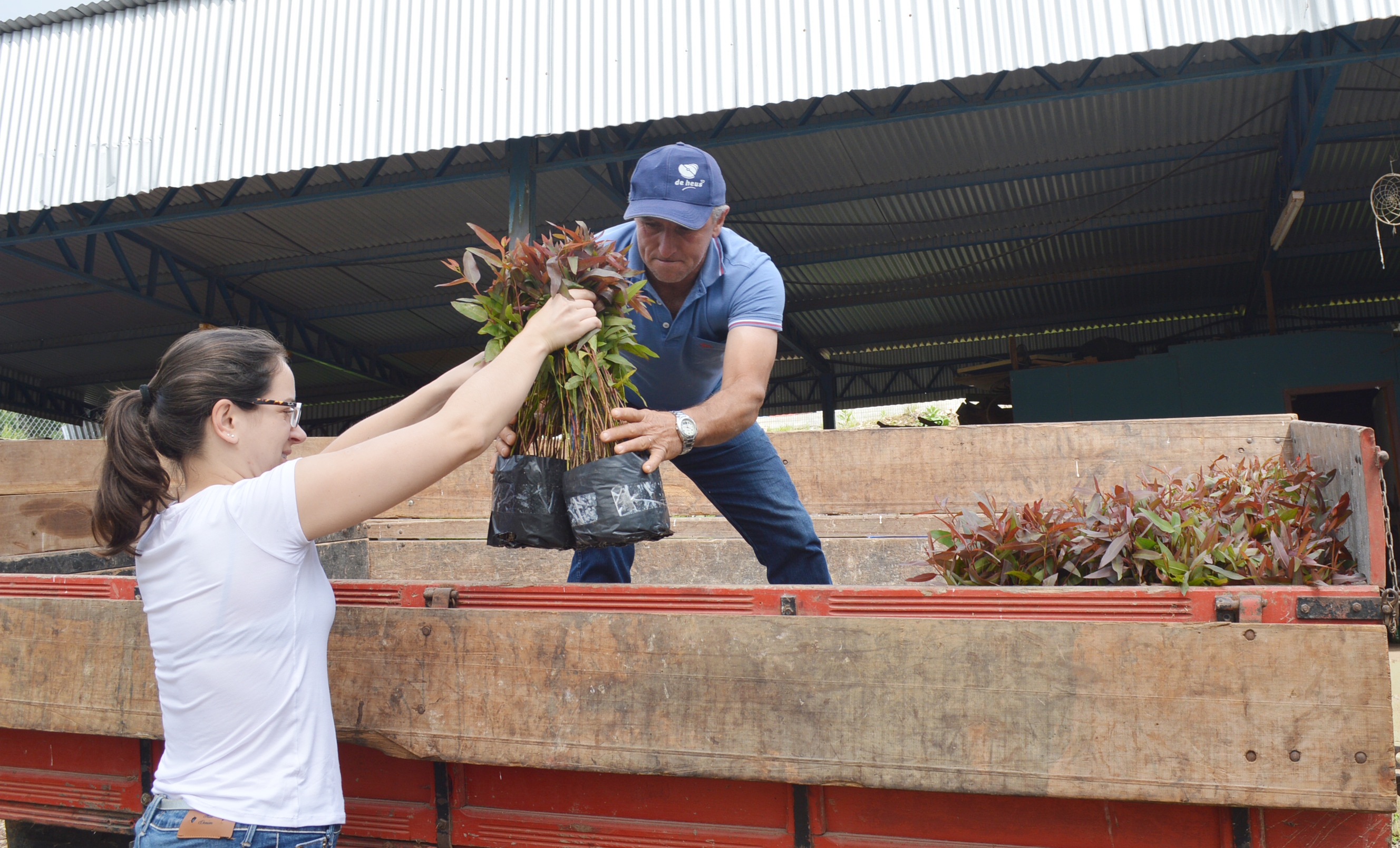 Vinte e três agricultores participaram da ação. - Prefeitura de Nova Pádua/Divulgação