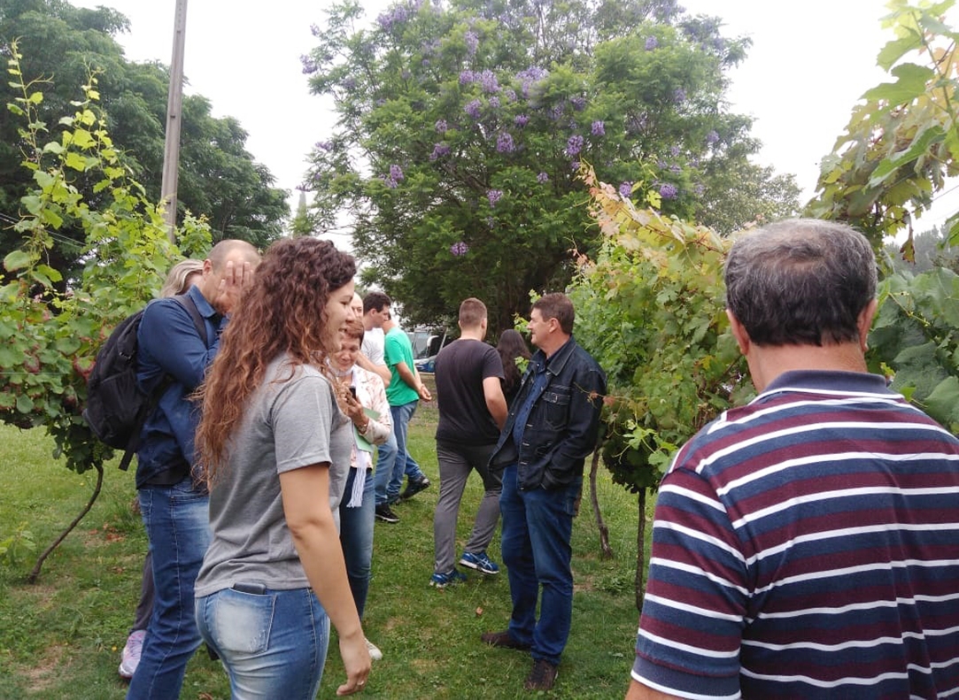 Agricultores visitaram vinhedos e vinícolas. - Prefeitura de Flores da Cunha/Divulgação