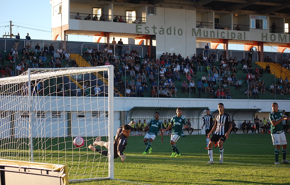 Palmeiras é uma das equipes que seguiu na disputa. - Antonio Coloda