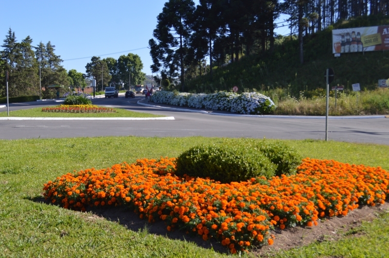 48 mil mudas de flores foram plantadas pela prefeitura.  - Prefeitura FC/Divulgação