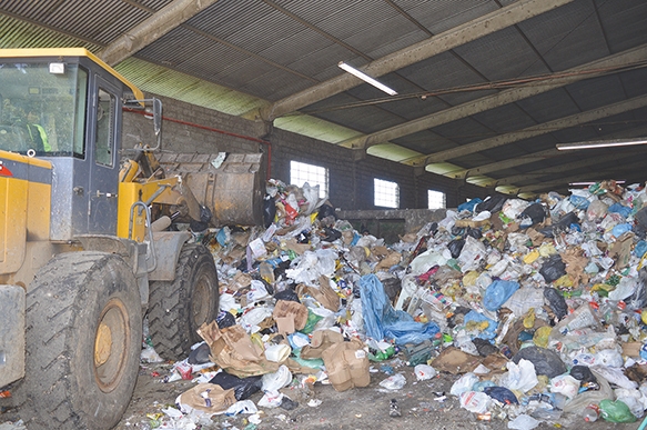 44% do lixo seletivo é descartado de forma irregular nas lixeiras. - Gabriela Fiorio