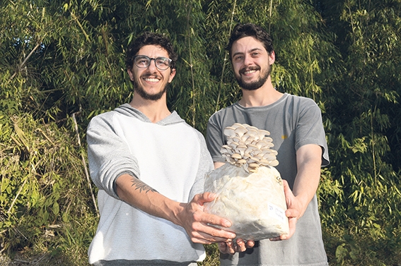 Os irmãos Rodrigo e Rafael Bettiol Ribeiro cultivam cogumelos e outros produtos nas terras do avô.  - Gabriela Fiorio