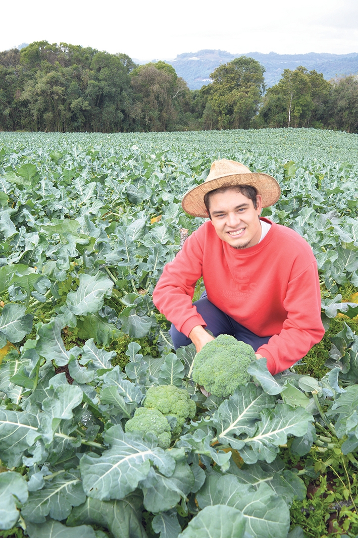 Andrei Vezzaro se arriscou, e pela primeira vez plantou mais de um hectare de brócolis.  - Gabriela Fiorio