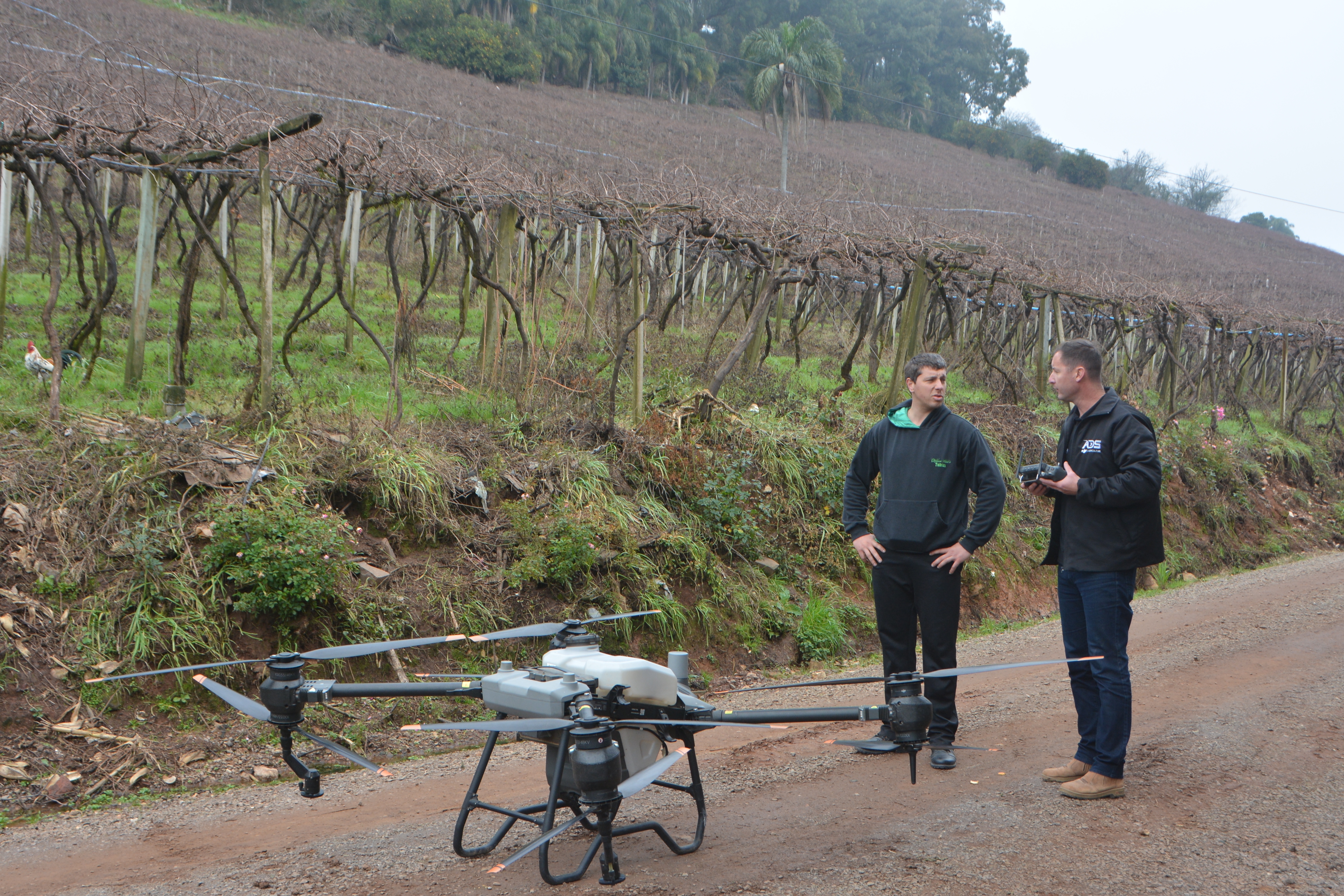 Viticultor, em Otávio Rocha, já utiliza drone para tratamentos fitossanitários - Antonio Galvão