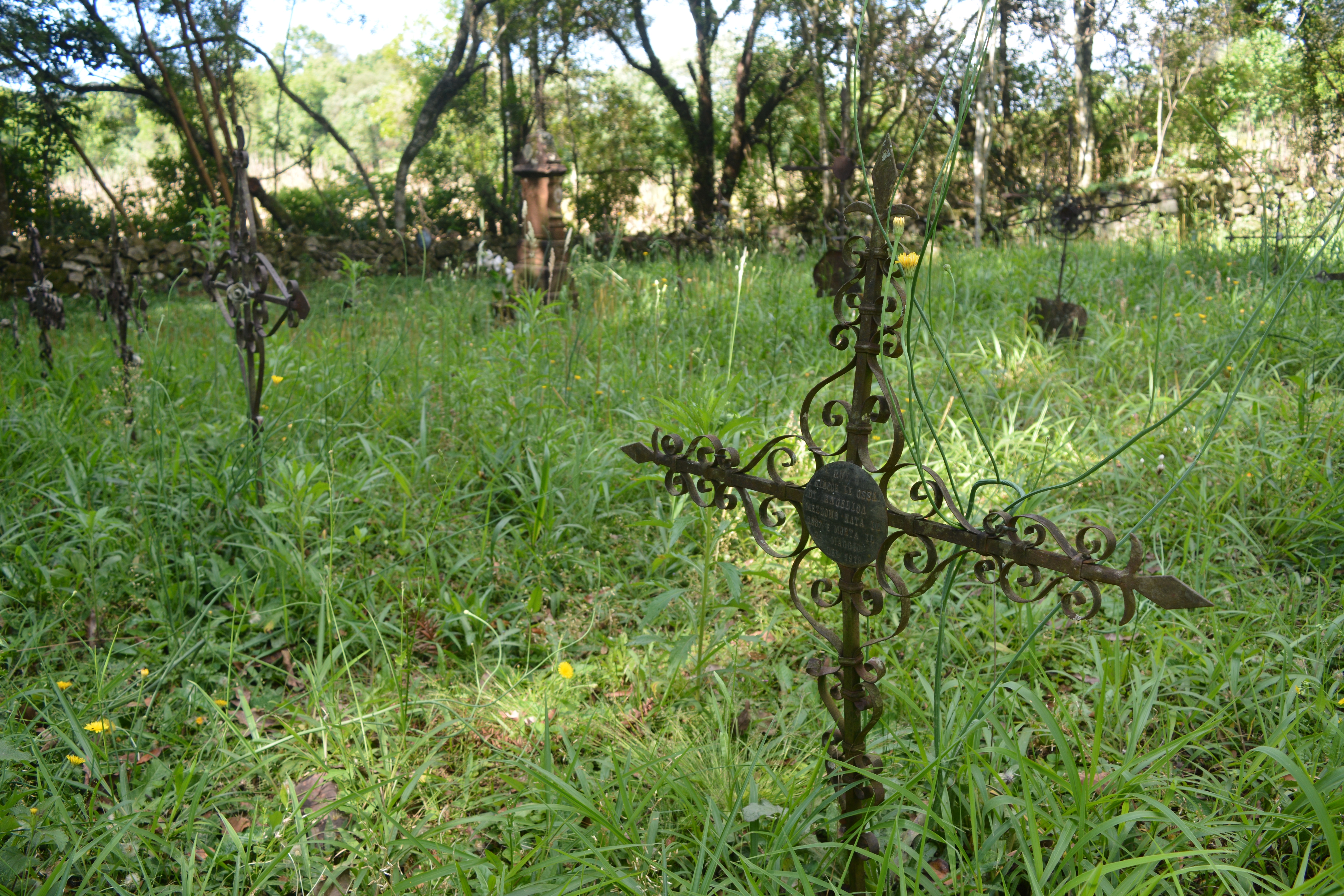 Campo Santo dos Imigrantes na tarde de terça-feira (29). - Antonio Galvão