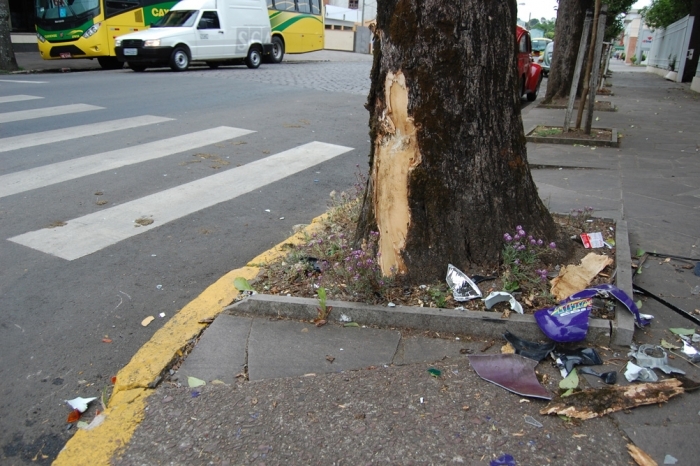 Motociclista bateu em carro e depois em árvore, na Avenida 25 de Julho. - NaHora/Antonio Coloda