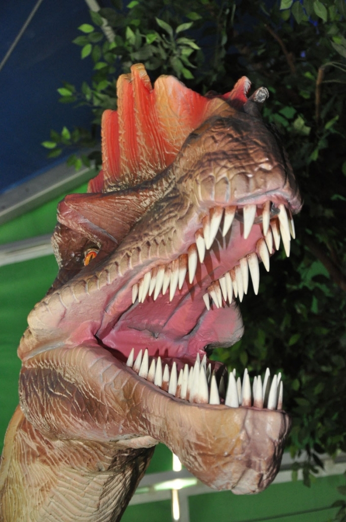 Tiranossauros Rex são atração da exposição. - Fotos/Edson Pereira/Divulgação