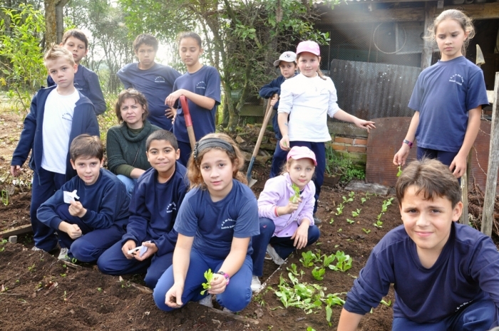 Alunos do 4º ano plantam alface, chicória, repolho, couve e beterraba, entre outras hortaliças. - Larissa Verdi