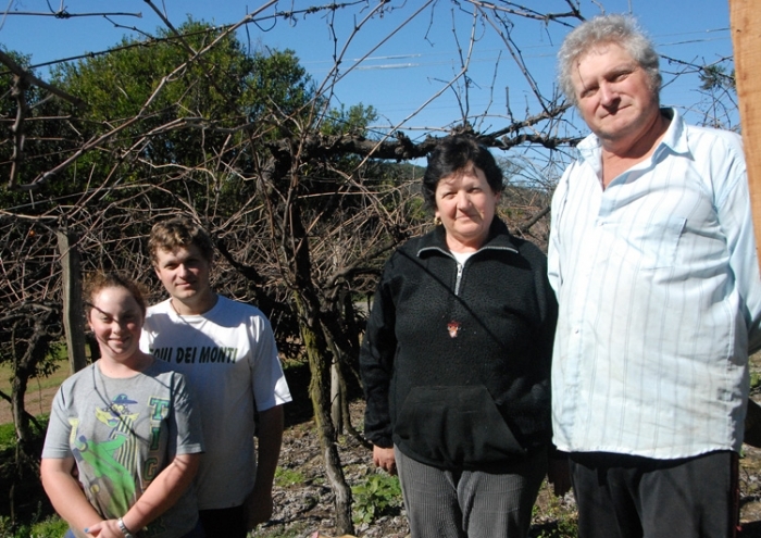 Adriele, Renan, Neiva e Olavo cultivam 4 hectares de parreiras no Travessão Divisa. - 