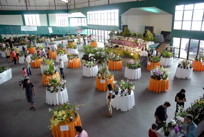 Cerca de 6 mil plantas serão apresentadas por expositores e produtores. - Acervo Prefeitura de Caxias/Divulgação