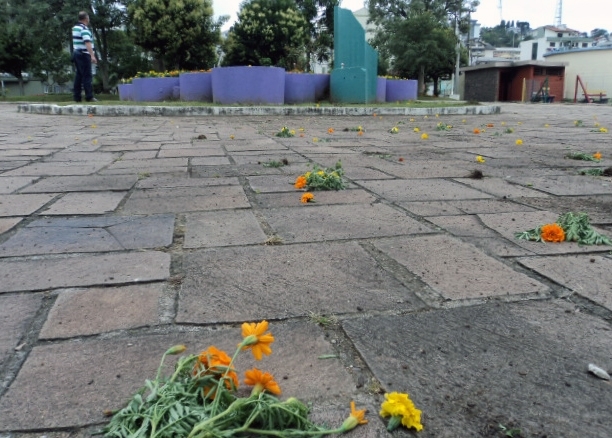 Flores foram replantadas por servidores da Secretaria de Agricultura e Abastecimento. - Prefeitura de Flores da Cunha/Divulgação