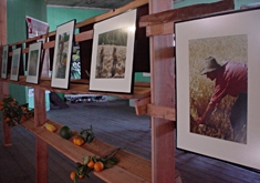 Antiga Cooperativa abriga a exposição Uvas, Vinhos e Trigo e os cartazes da festa. - Danúbia Otobelli