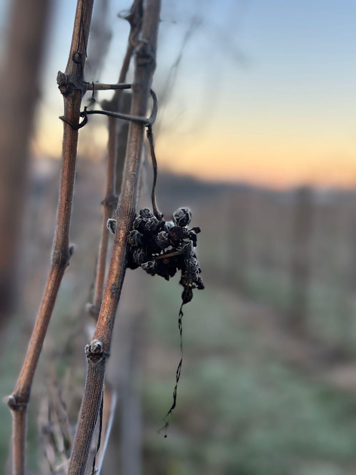 WhatsApp Image 2025-07-01 at 07.57.13 (1)