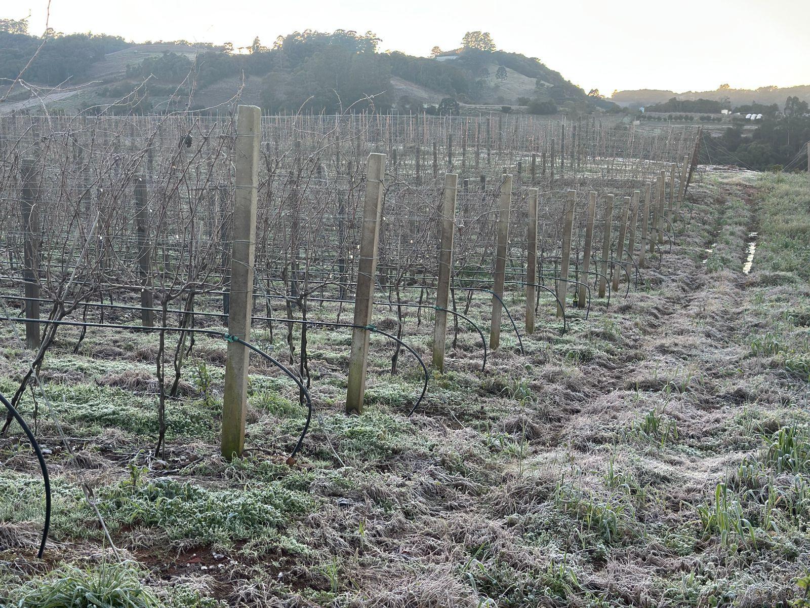 WhatsApp Image 2025-07-01 at 07.57.13 (2)