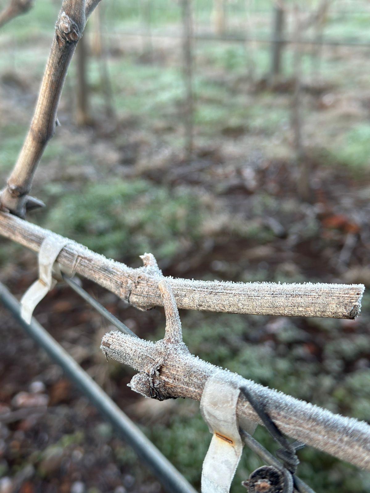 WhatsApp Image 2025-07-01 at 07.57.13