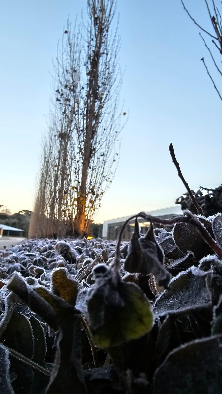 WhatsApp Image 2025-07-01 at 08.30.25