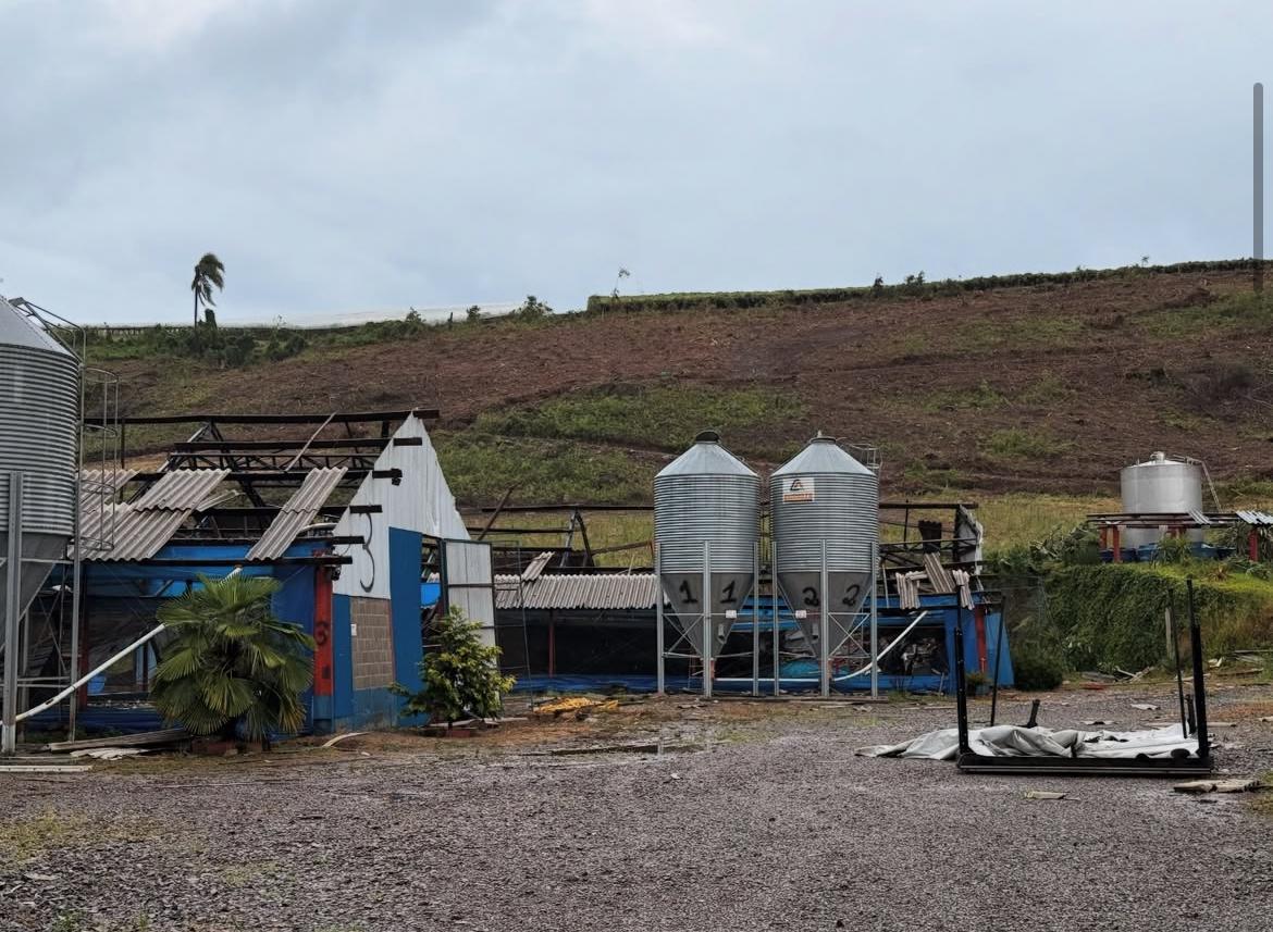 Prefeitura de Nova Pádua (1)