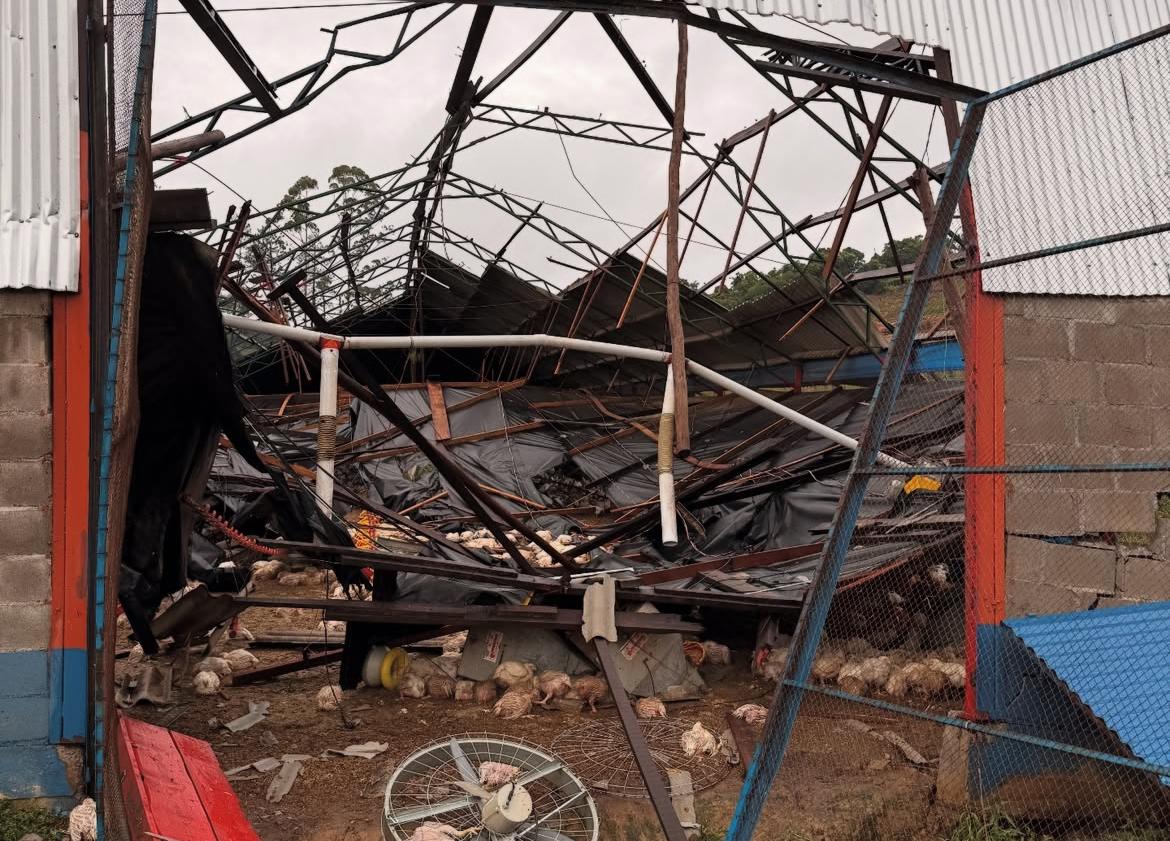 Prefeitura de Nova Pádua (5)