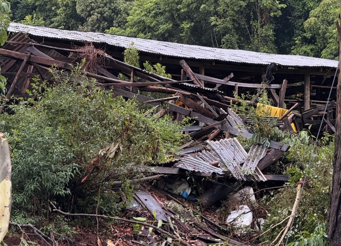 Prefeitura de Nova Pádua (6)