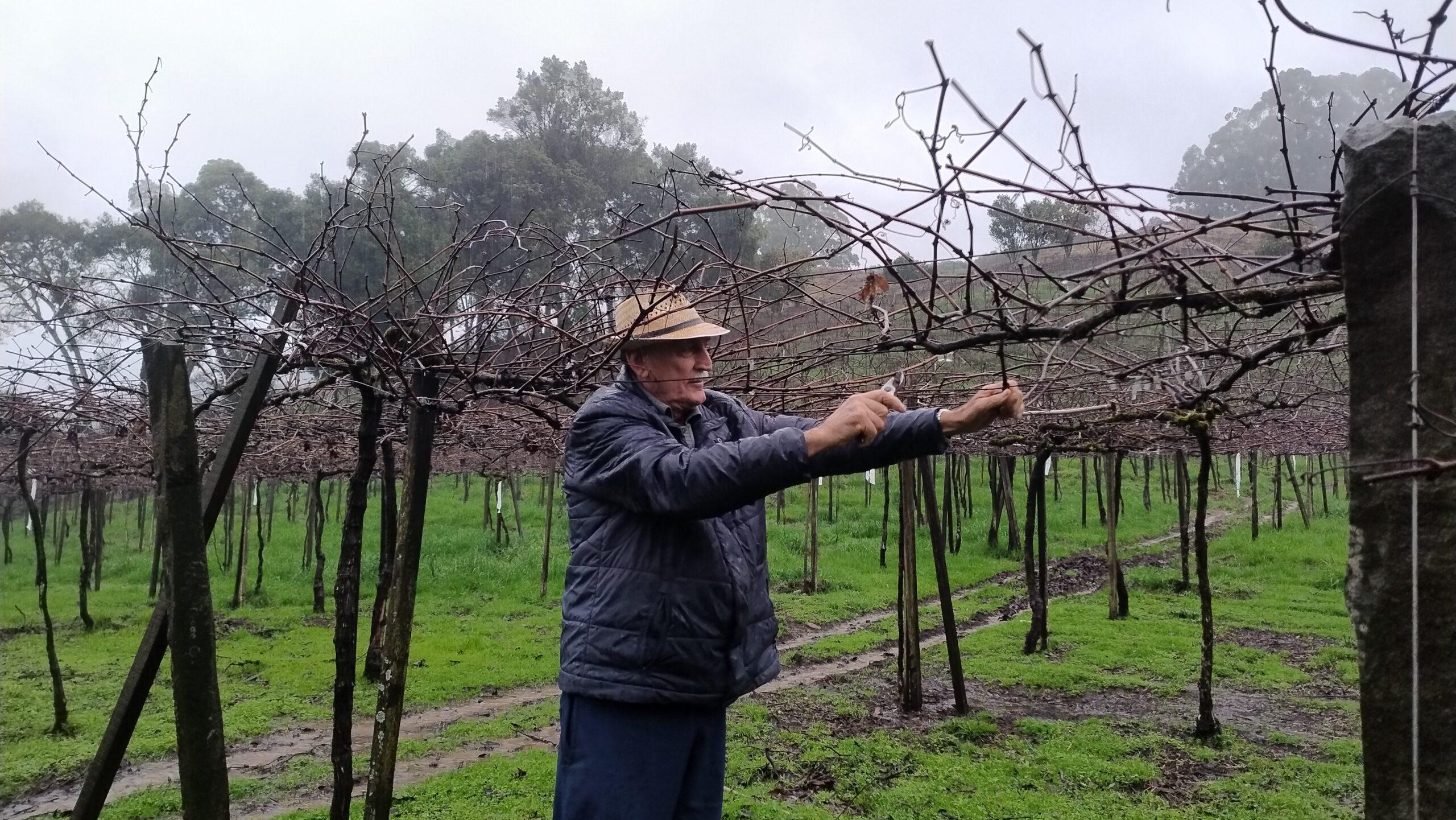 NadineDilkin_Plínio agricultor suco uva (17)
