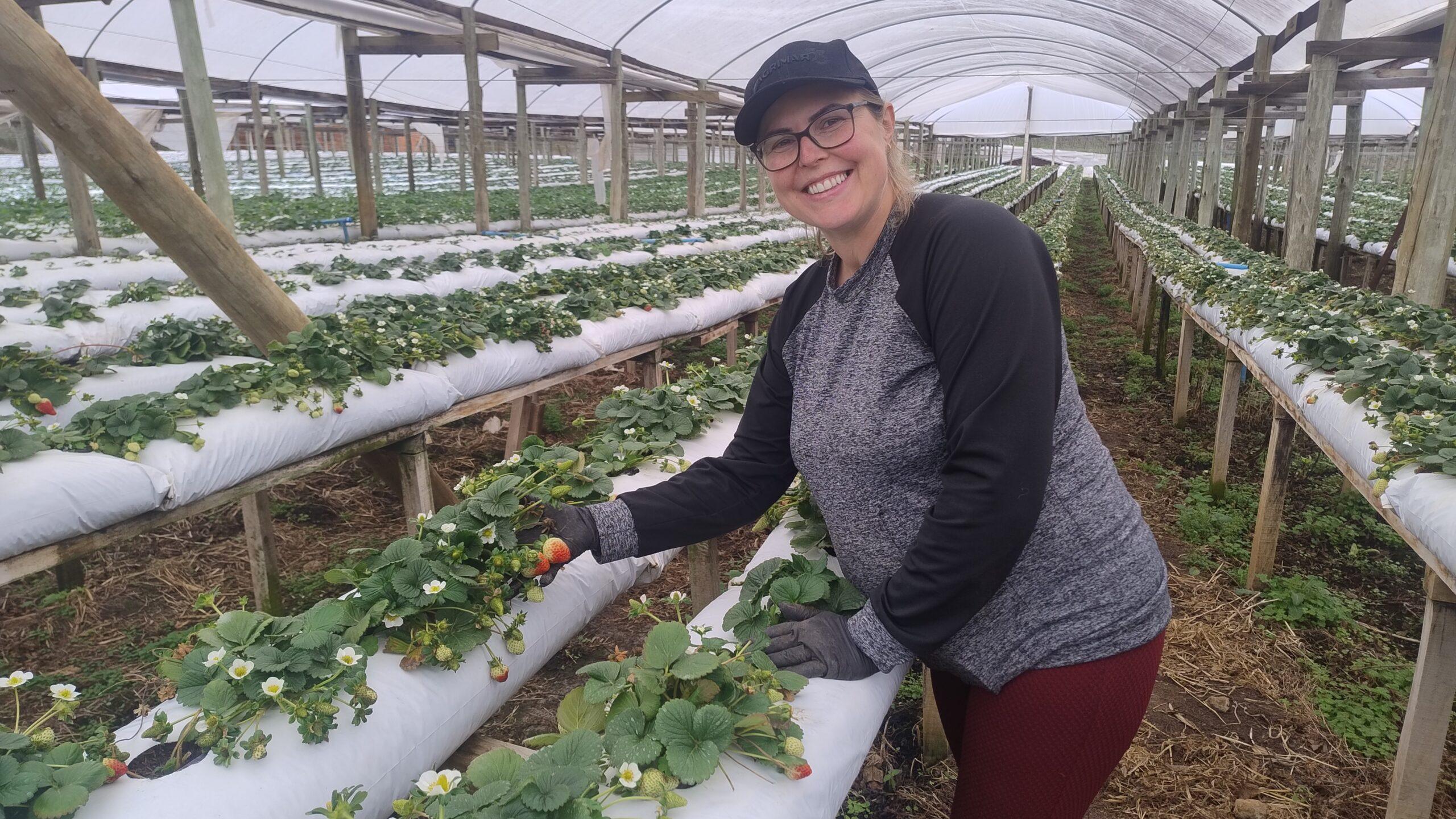 NadineDilkin_juliete, agricultora morango (5)